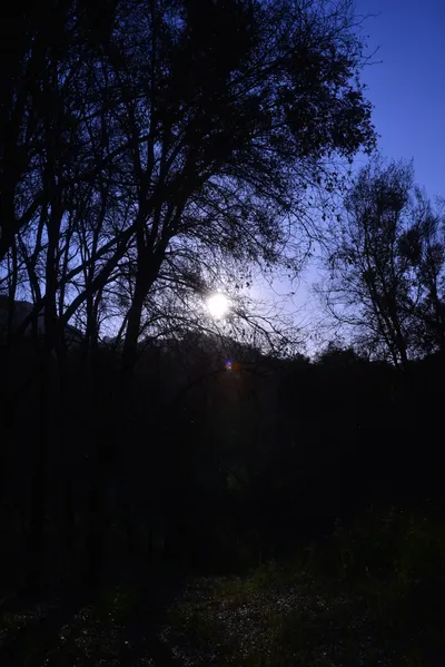 DSC_6194 (Large).JPG